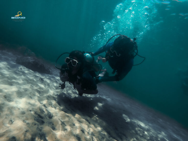 DCIM100GOPROGOPR4601.JPG